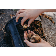 Nelson Garden Kartoffeltopf