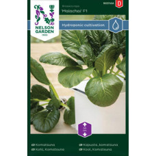 Nelson Garden Kohl, Komatsuna Malachai F1