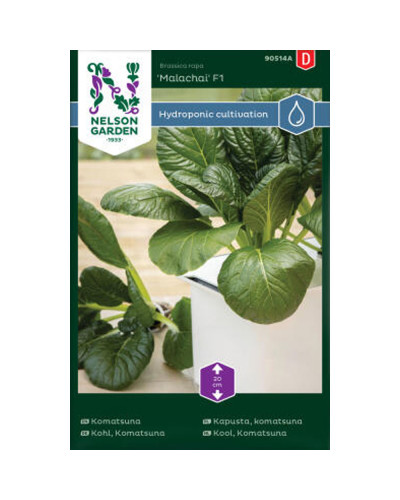 Nelson Garden Kohl, Komatsuna Malachai F1