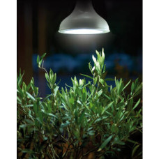 Nelson Garden LED-Pflanzenlampe 18W E27