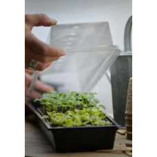 Nelson Garden Minigewächshaus plug flat 14x68 cm