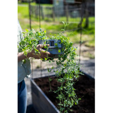 Nelson Garden Minigewächshaus, Anzuchtbox