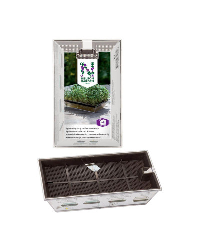 Nelson Garden Sprossenschale mit Kresse 1 Stk