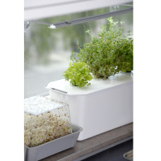 Nelson Garden Starterkit, Hydroponik Harvy 3