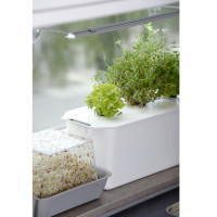 Nelson Garden Starterkit, Hydroponik Harvy 3