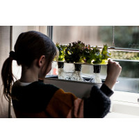 Nelson Garden Starterkit, Hydroponik Harvy 3