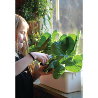 Nelson Garden Starterkit, Hydroponik Harvy 3