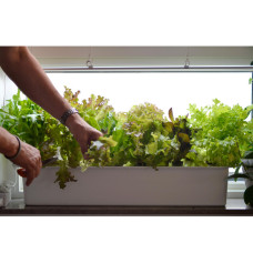 Nelson Garden Starterkit, Hydroponik Harvy 6