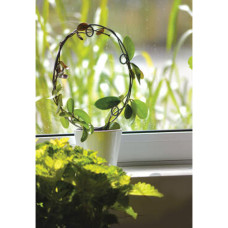 Nelson Garden Topfspalier Circle Ø28 cm, Höhe 38