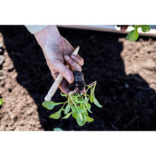 Nelson Garden Umpflanzset Set 3 Werkzeuge