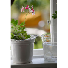 Nelson Garden Urlaubsbewässerung 5 stk