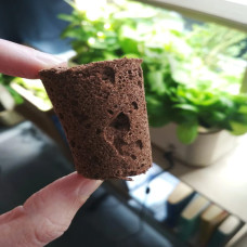 BerlinGreen PlantPlugs Italian Herb 8-Pack