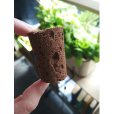 BerlinGreen PlantPlugs Asian Herb Mix 8-Pack