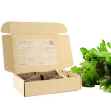 BerlinGreen PlantPlugs Salad Greens 8-Pack