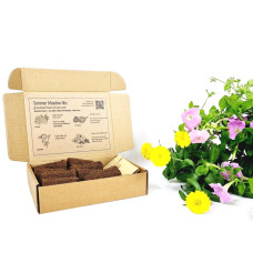 BerlinGreen PlantPlugs Summer Meadow Mix 8-Pack