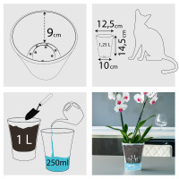 Santino Arte-Dea Pflanztöpfe Drainage Set (6 Töpfe Ø 12.5 cm, H 14.5 cm Transparent + Blähton 2.5 Liter)