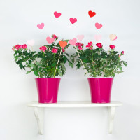 Santino Arte Pflanztöpfe Ø 13.5 cm, H 12.5 cm Weiß/Violett