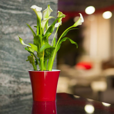 Santino Arte Pflanztöpfe Ø 16.5 cm, H 15 cm Rot/Weiß