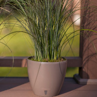 Santino Deco Twin Pflanztöpfe Ø 17 cm, H 15 cm Schatten