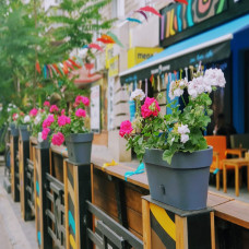 Santino Latina Window Box Pflanztöpfe L 39.5 cm, H 17 cm Anthrazit