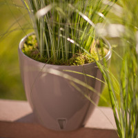 Santino Deco Twin Pflanztöpfe Ø 14 cm, H 12.5 cm Schatten