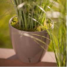 Santino Deco Twin Pflanztöpfe Ø 20 cm, H 17.5 cm Schatten