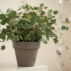 Santino Latina Pflanztöpfe Ø 27.5 cm, H 23 cm Cream