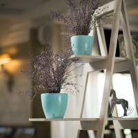 Santino Deco Twin Pflanztöpfe Ø 17 cm, H 15 cm Jade