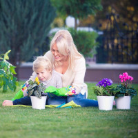 Santino Arte Pflanztöpfe Ø 22 cm, H 20 cm Grün/Weiß