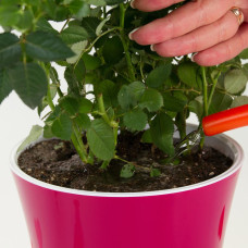 Santino Arte Pflanztöpfe Ø 16.5 cm, H 15 cm Weiß/Violett