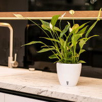 Santino Deco Twin Pflanztöpfe Ø 26.2 cm, H 23.5 cm Weiß