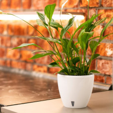 Santino Deco Twin Pflanztöpfe 3er-Set Ø 17 cm, H 15 cm Weiß