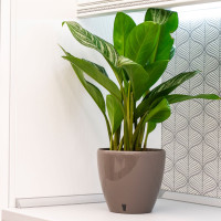 Santino Deco Twin Pflanztöpfe Ø 14 cm, H 12.5 cm Schatten