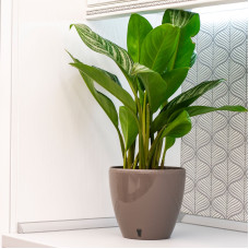 Santino Deco Twin Pflanztöpfe Ø 14 cm, H 12.5 cm Schatten