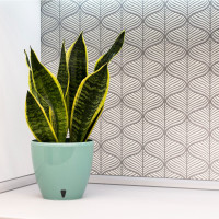 Santino Deco Twin Pflanztöpfe Ø 17 cm, H 15 cm Jade