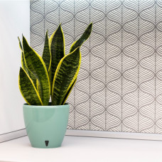 Santino Deco Twin Pflanztöpfe 3er-Set Ø 17 cm, H 15 cm Jade