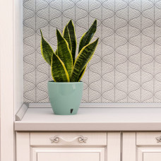 Santino Deco Twin Pflanztöpfe 3er-Set Ø 17 cm, H 15 cm Jade