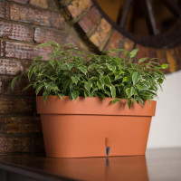 Santino Latina Window Box Pflanztöpfe L 39.5 cm, H 17 cm Terrakotta