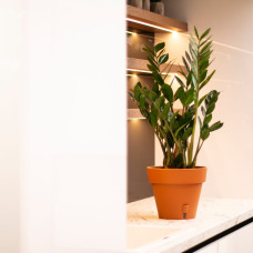 Santino Latina Pflanztöpfe Ø 32.5 cm, H 27.5 cm Terrakotta