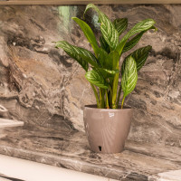 Santino Deco Twin Pflanztöpfe Ø 14 cm, H 12.5 cm Schatten