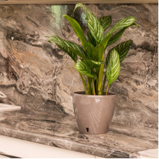 Santino Deco Twin Pflanztöpfe Ø 14 cm, H 12.5 cm Schatten