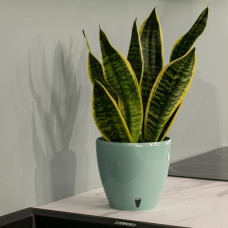 Santino Deco Twin Pflanztöpfe Ø 14 cm, H 12.5 cm Jade