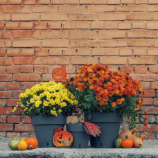 Santino Latina Pflanztöpfe Ø 32.5 cm, H 27.5 cm Anthrazit