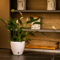 Santino Deco Twin Pflanztöpfe Ø 26.2 cm, H 23.5 cm Weiß