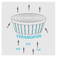 Santino Latina Window Box Pflanztöpfe L 39.5 cm, H 17 cm Schatten