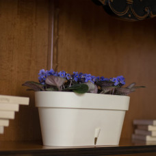 Santino Latina Window Box Pflanztöpfe L 39.5 cm, H 17 cm Cream