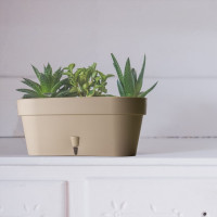 Santino Latina Window Box Pflanztöpfe L 39.5 cm, H 17 cm Cream