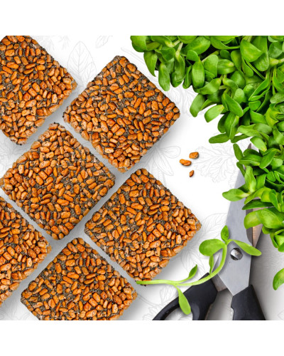 OraGarden Starter Microgreens-Saatpads-Mix 48 Stück