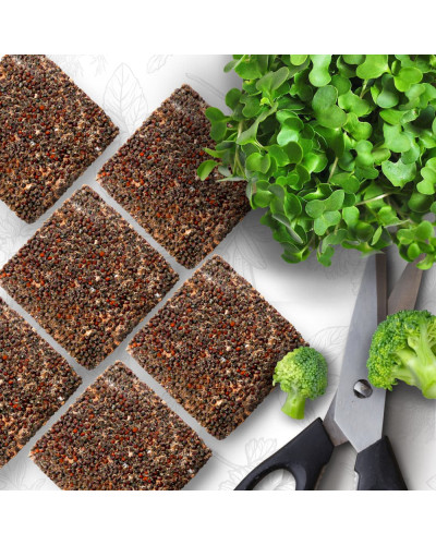 OraGarden Starter Microgreens-Saatpads-Mix 48 Stück