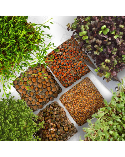 OraGarden Starter Microgreens-Saatpads-Mix 48 Stück
